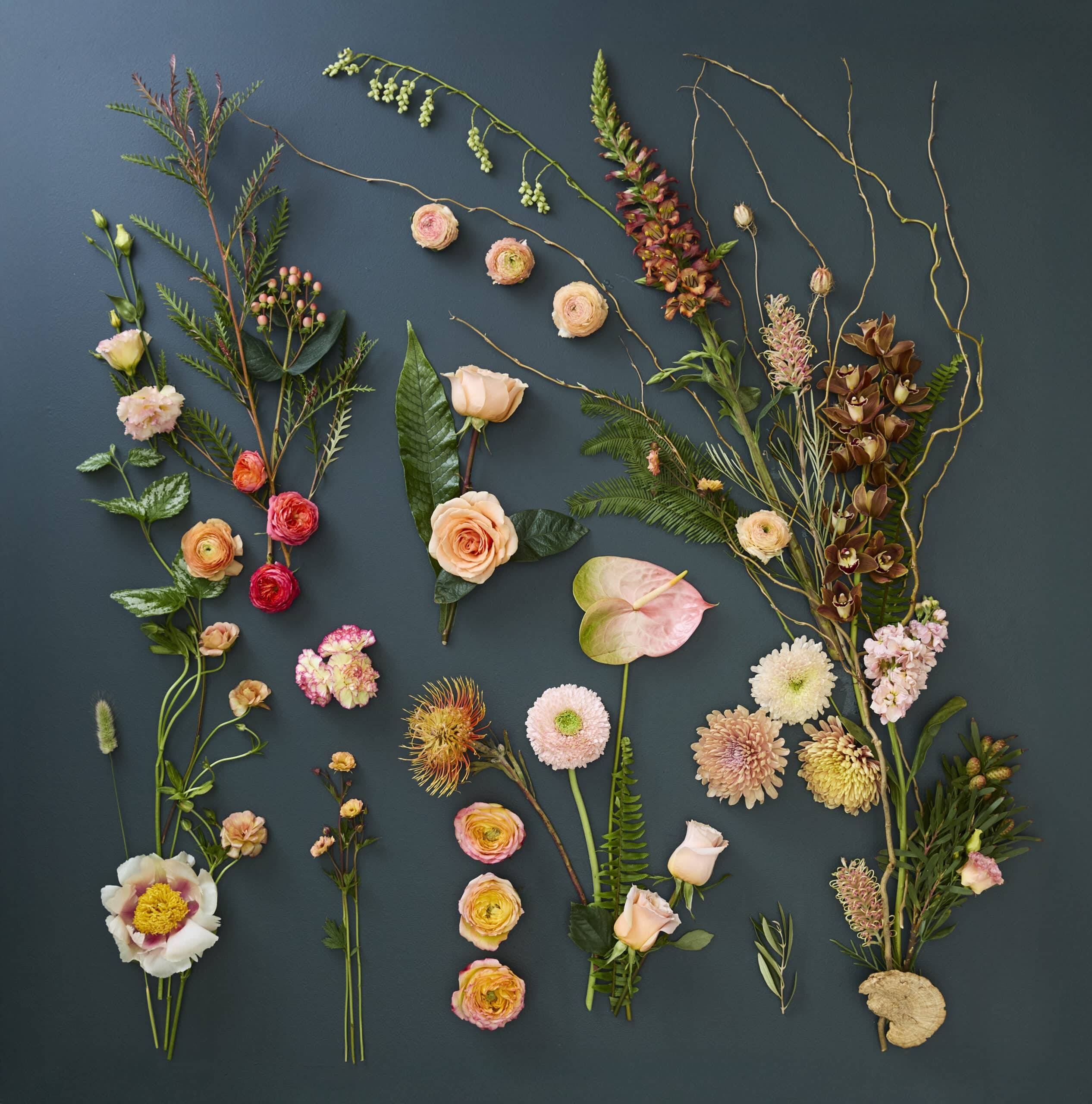 Soft & Earthy